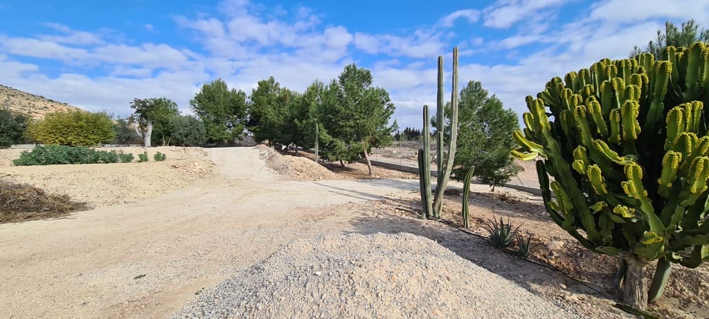 3 camera da letto Villa in vendita in Orihuela con piscina garage - 1.150.000 € (Rif: 8966497)