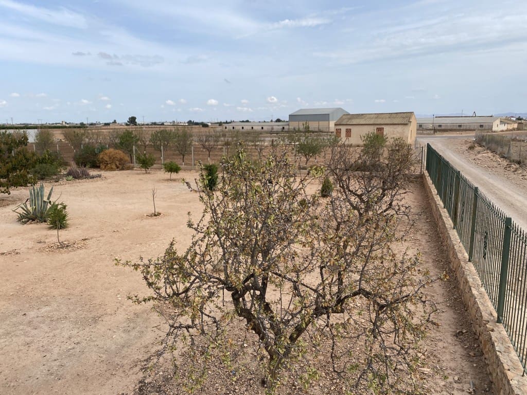 4 soveværelse Byhus til salg i Fuente Alamo de Murcia med swimmingpool garage - € 260.000 (Ref: 9086096)