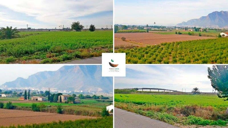 1 soveværelse Finca/Landehus til salg i Callosa de Segura - € 260.000 (Ref: 9086125)