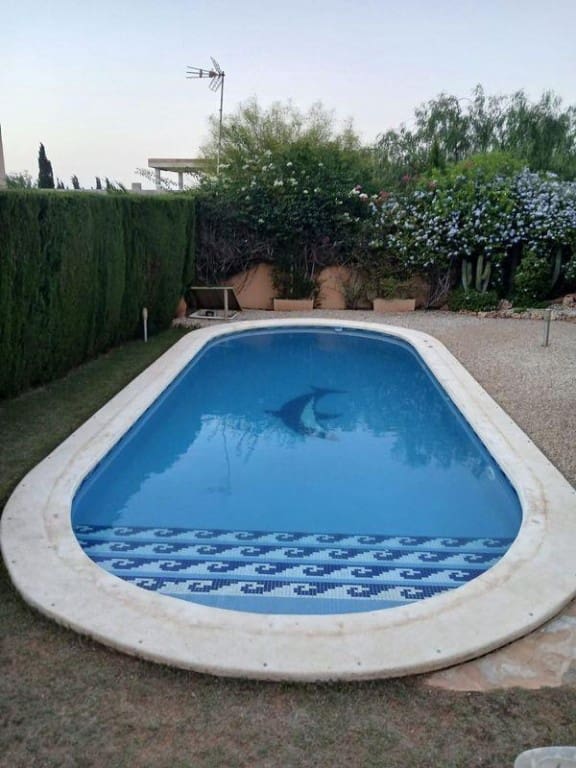 3 soveværelse Villa til salg i Playa Honda med swimmingpool - € 500.000 (Ref: 9462667)