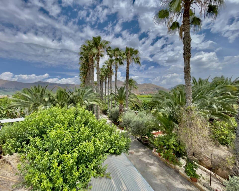 8 slaapkamer Finca/Landhuis te koop in Orihuela met zwembad garage - € 1.300.000 (Ref: 9517871)