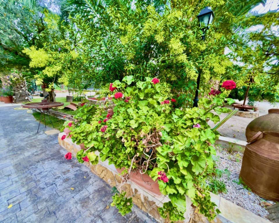 8 slaapkamer Finca/Landhuis te koop in Orihuela met zwembad garage - € 1.300.000 (Ref: 9517871)