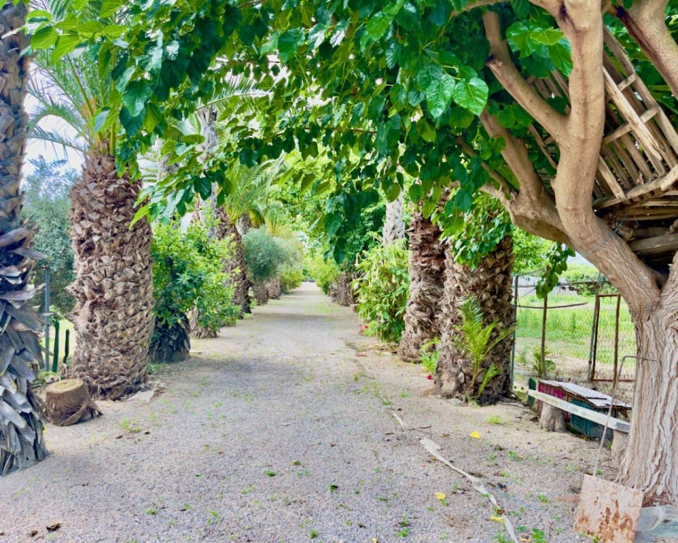 8 slaapkamer Finca/Landhuis te koop in Orihuela met zwembad garage - € 1.300.000 (Ref: 9517871)