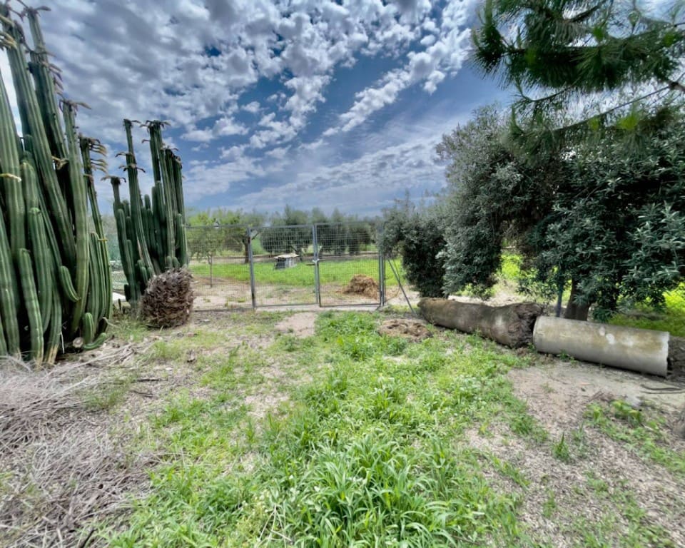 8 slaapkamer Finca/Landhuis te koop in Orihuela met zwembad garage - € 1.300.000 (Ref: 9517871)