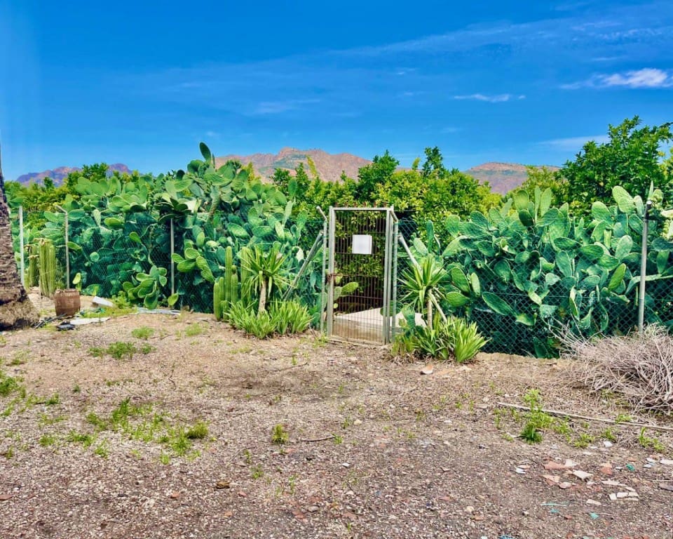 8 slaapkamer Finca/Landhuis te koop in Orihuela met zwembad garage - € 1.300.000 (Ref: 9517871)