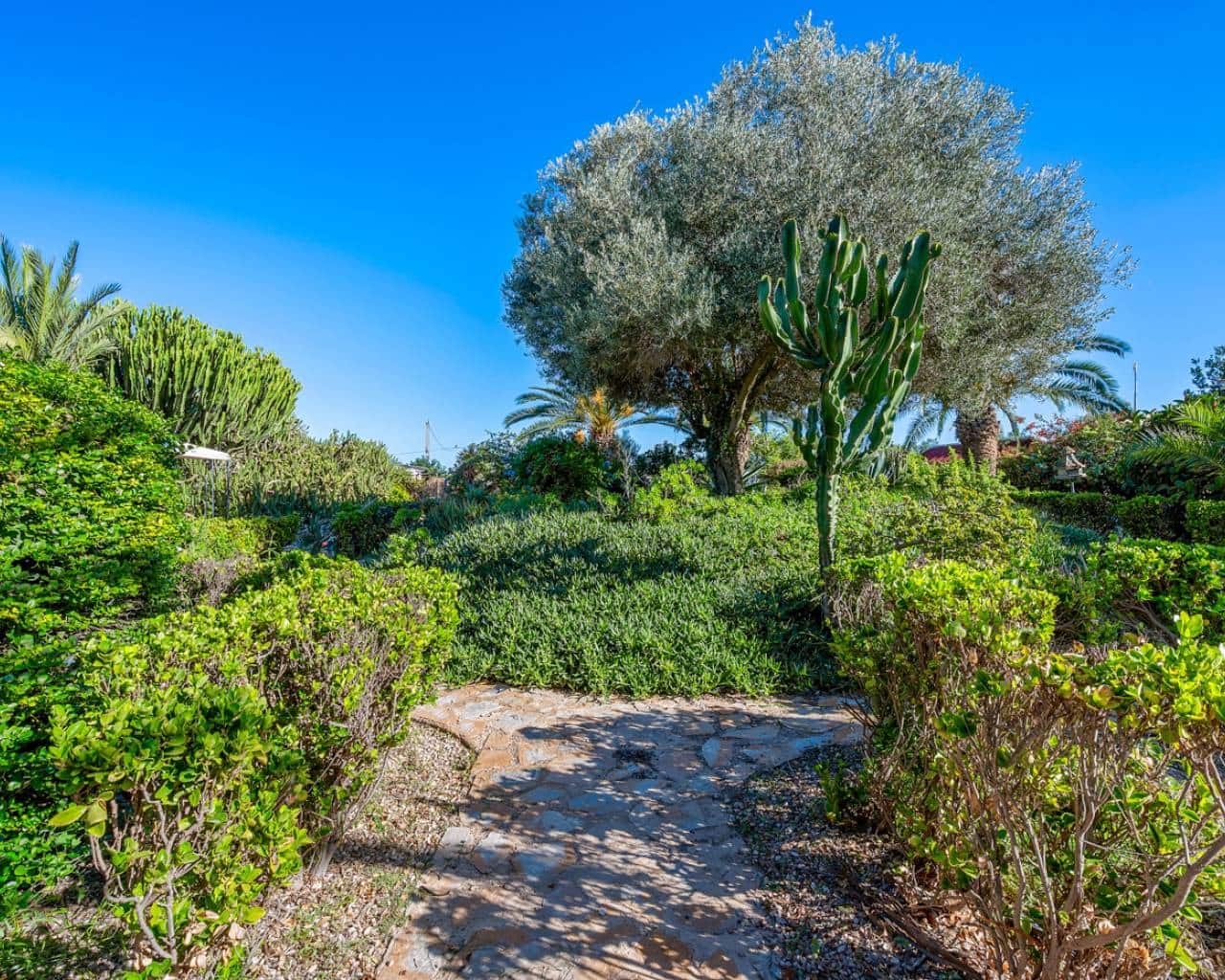 10 quarto Quinta/Casa Rural para venda em Los Montesinos com piscina garagem - 995 000 € (Ref: 9537757)