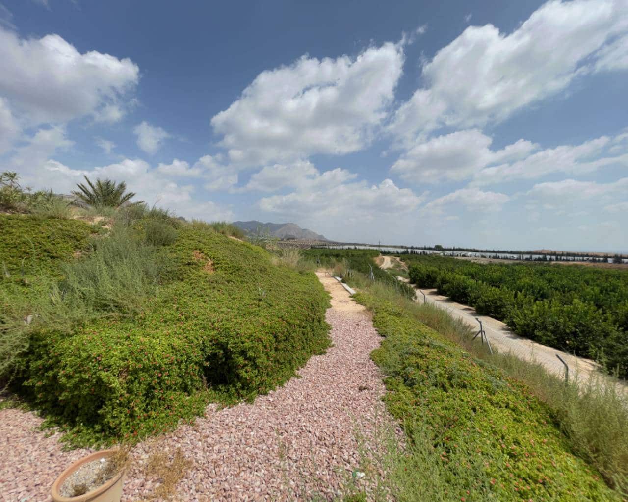 4 bedroom Finca/Country House for sale in Orihuela with pool garage - € 199,995 (Ref: 9537775)