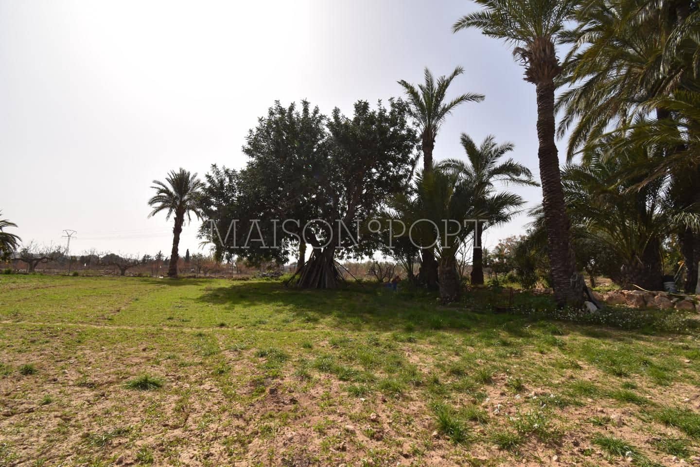 Chalet de 7 habitaciones en Elche / Elx en venta - 290.000 € (Ref: 7934698)