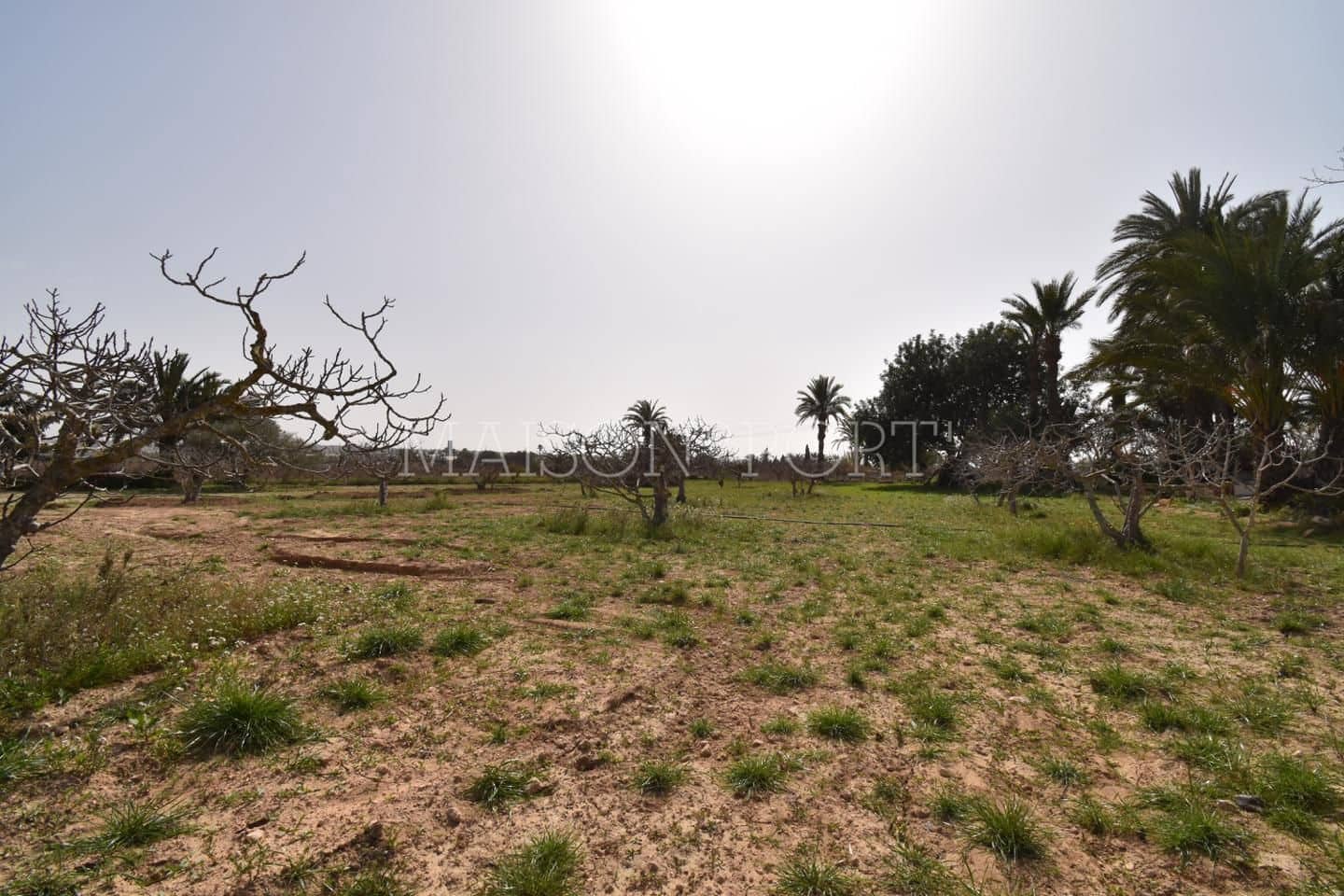 Chalet de 7 habitaciones en Elche / Elx en venta - 290.000 € (Ref: 7934698)