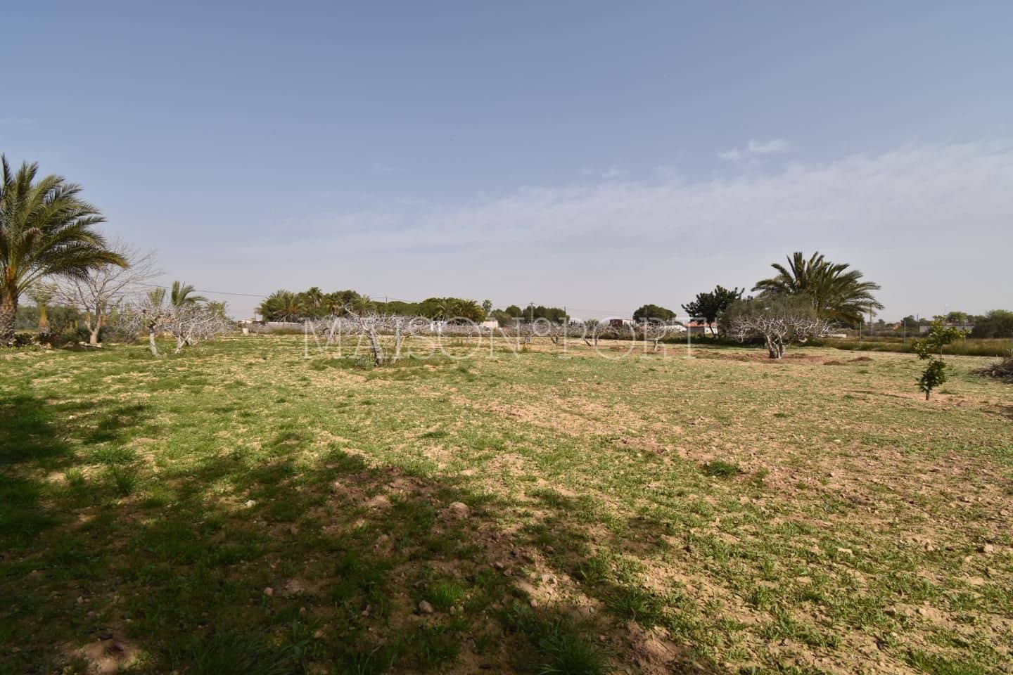 Chalet de 7 habitaciones en Elche / Elx en venta - 290.000 € (Ref: 7934698)