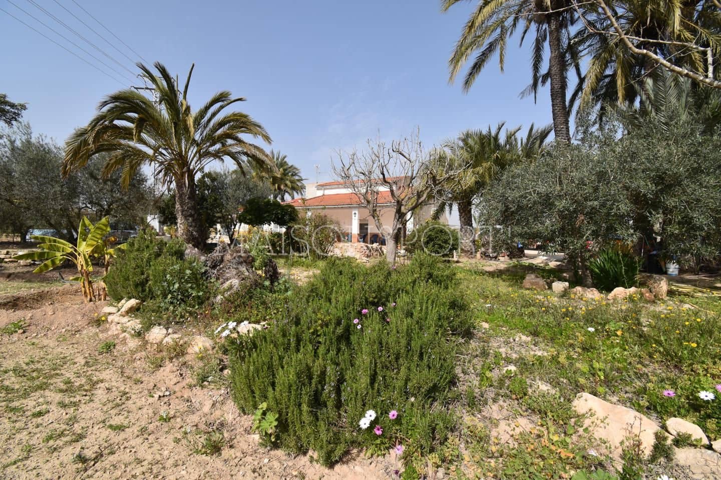 Chalet de 7 habitaciones en Elche / Elx en venta - 290.000 € (Ref: 7934698)