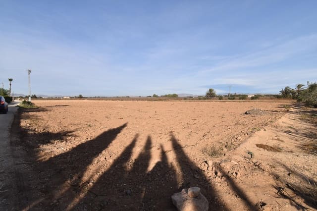 Grunde uden byggetilladelser til salg i Elche / Elx - € 160.000 (Ref: 8099904)