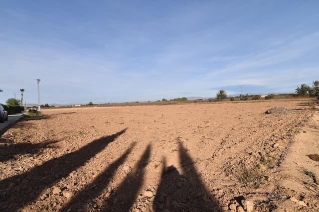 Grunde uden byggetilladelser til salg i Elche / Elx - € 160.000 (Ref: 8099904)