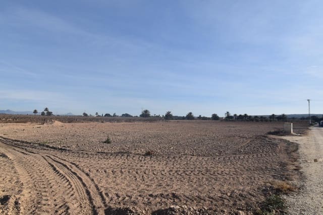 Grunde uden byggetilladelser til salg i Elche / Elx - € 160.000 (Ref: 8099904)
