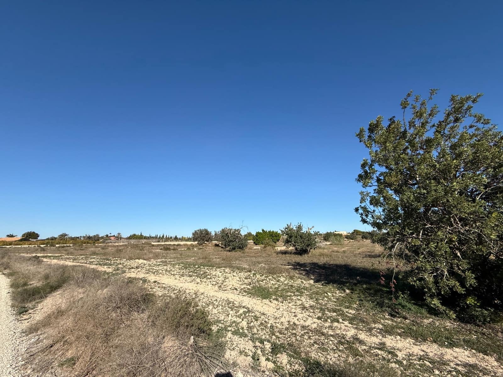 Grunde uden byggetilladelser til salg i Valverde - € 215.000 (Ref: 9416064)