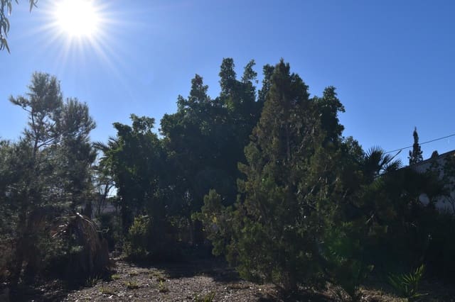 4 soveværelse Finca/Landehus til salg i Valverde, Elche / Elx - € 286.000 (Ref: 9422342)