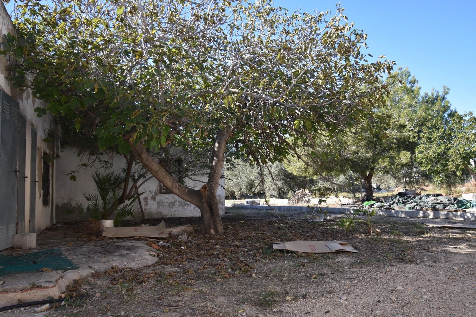 4 Zimmer Finca/Landgut zu verkaufen in Valverde - 286.000 € (Ref: 9422342)