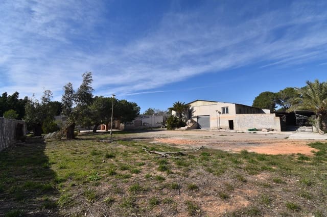 4 soverom Finca/Herregård til salgs i Valverde, Elche / Elx - € 270 000 (Ref: 9422342)