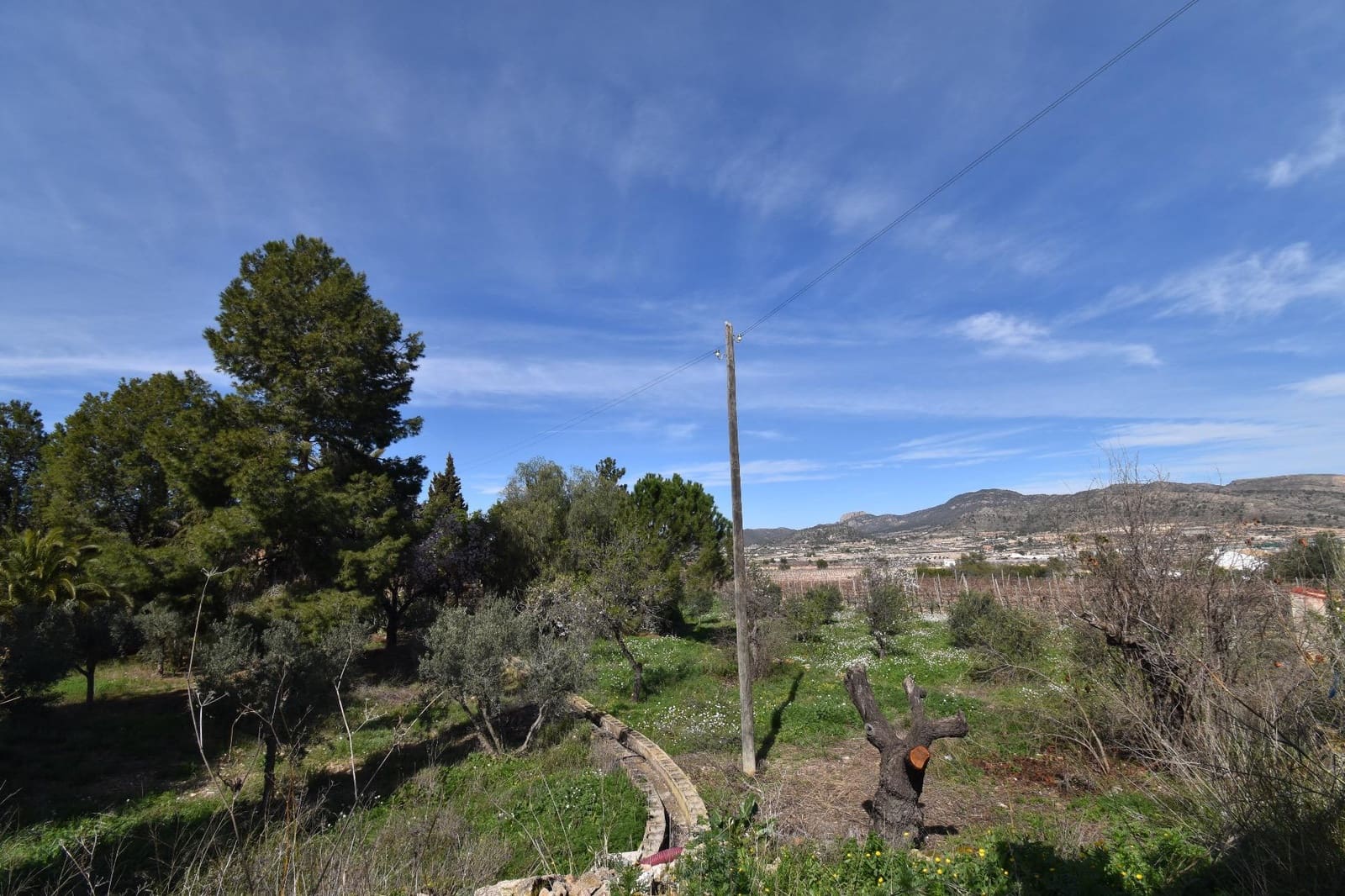 3 bedroom Finca/Country House for sale in La Romana with pool - € 210,000 (Ref: 9616106)