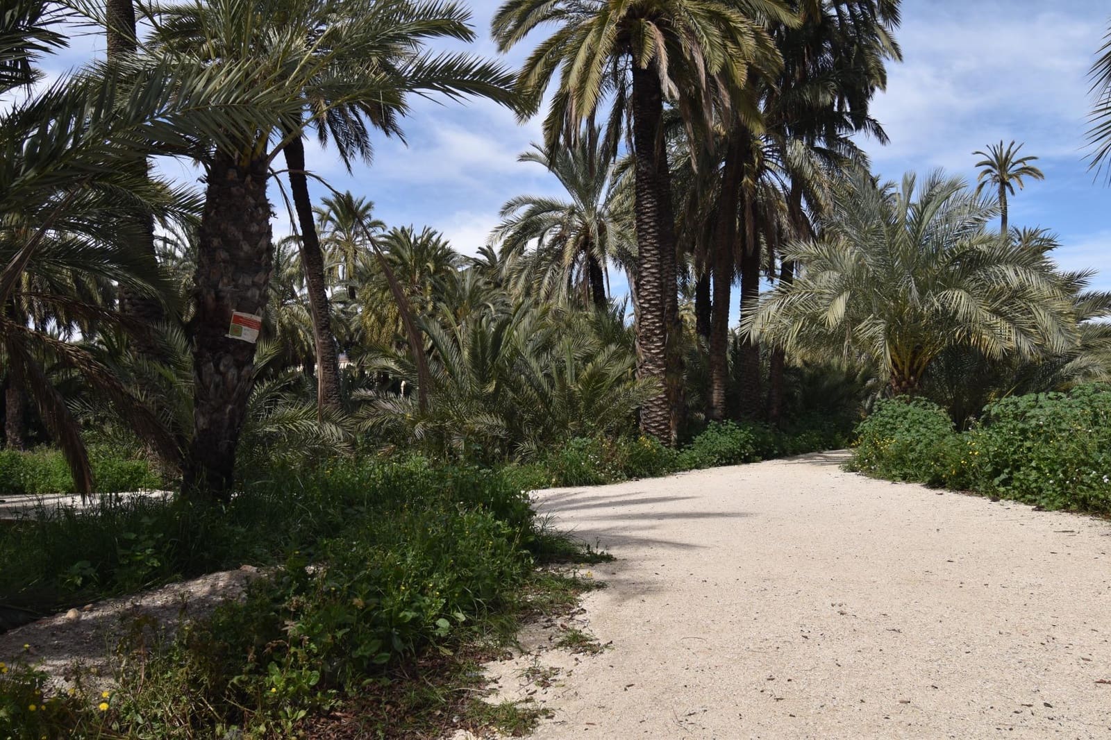 1 soveværelse Lejlighed til salg i Elche / Elx - € 174.500 (Ref: 9712394)