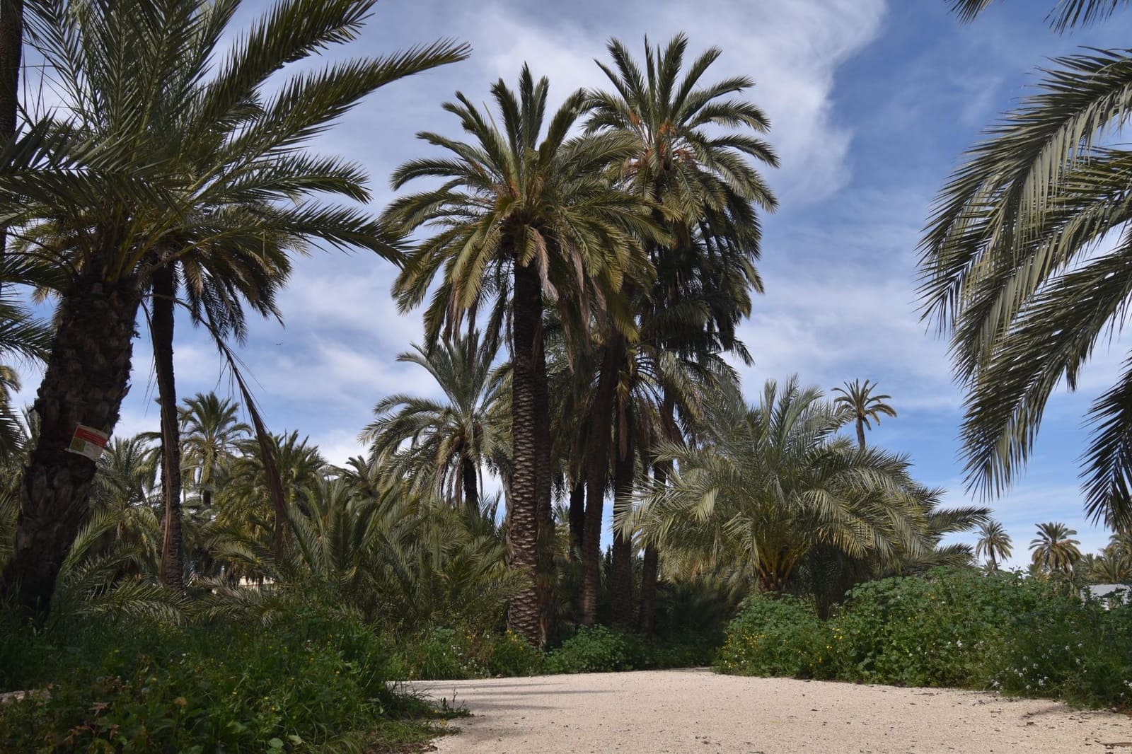 1 soveværelse Lejlighed til salg i Elche / Elx - € 174.500 (Ref: 9712394)