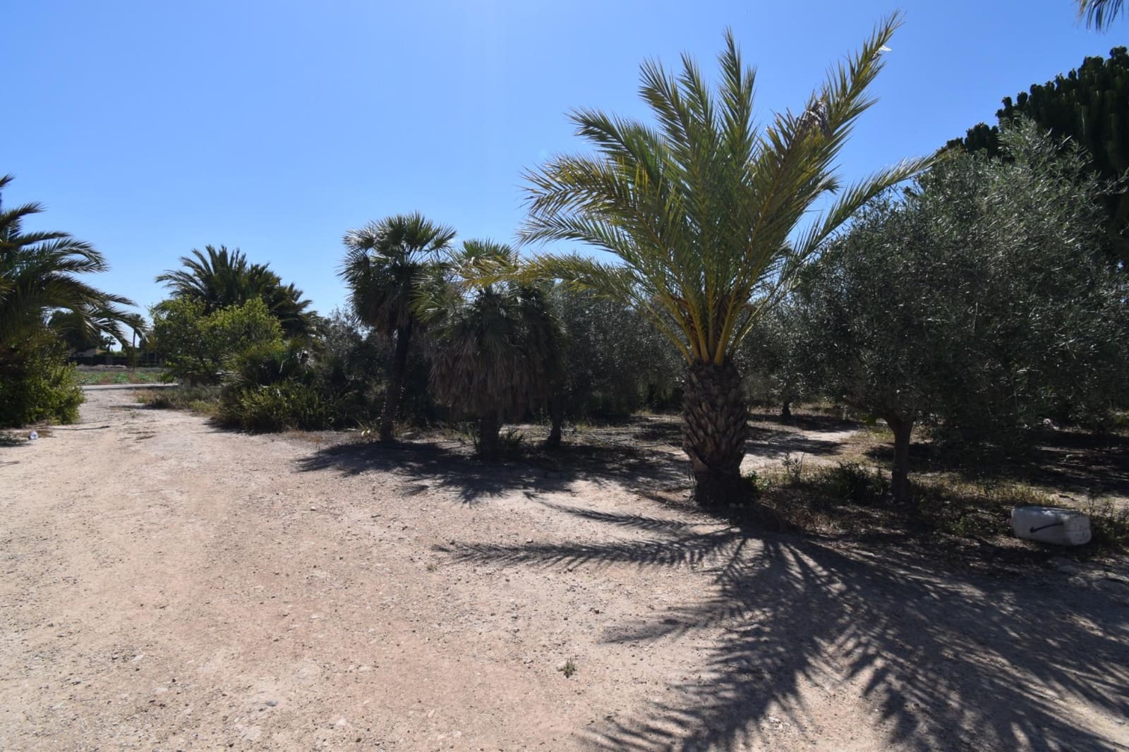 4 camera da letto Finca/Casa di Campagna in vendita in Las Bayas - 270.000 € (Rif: 9873723)