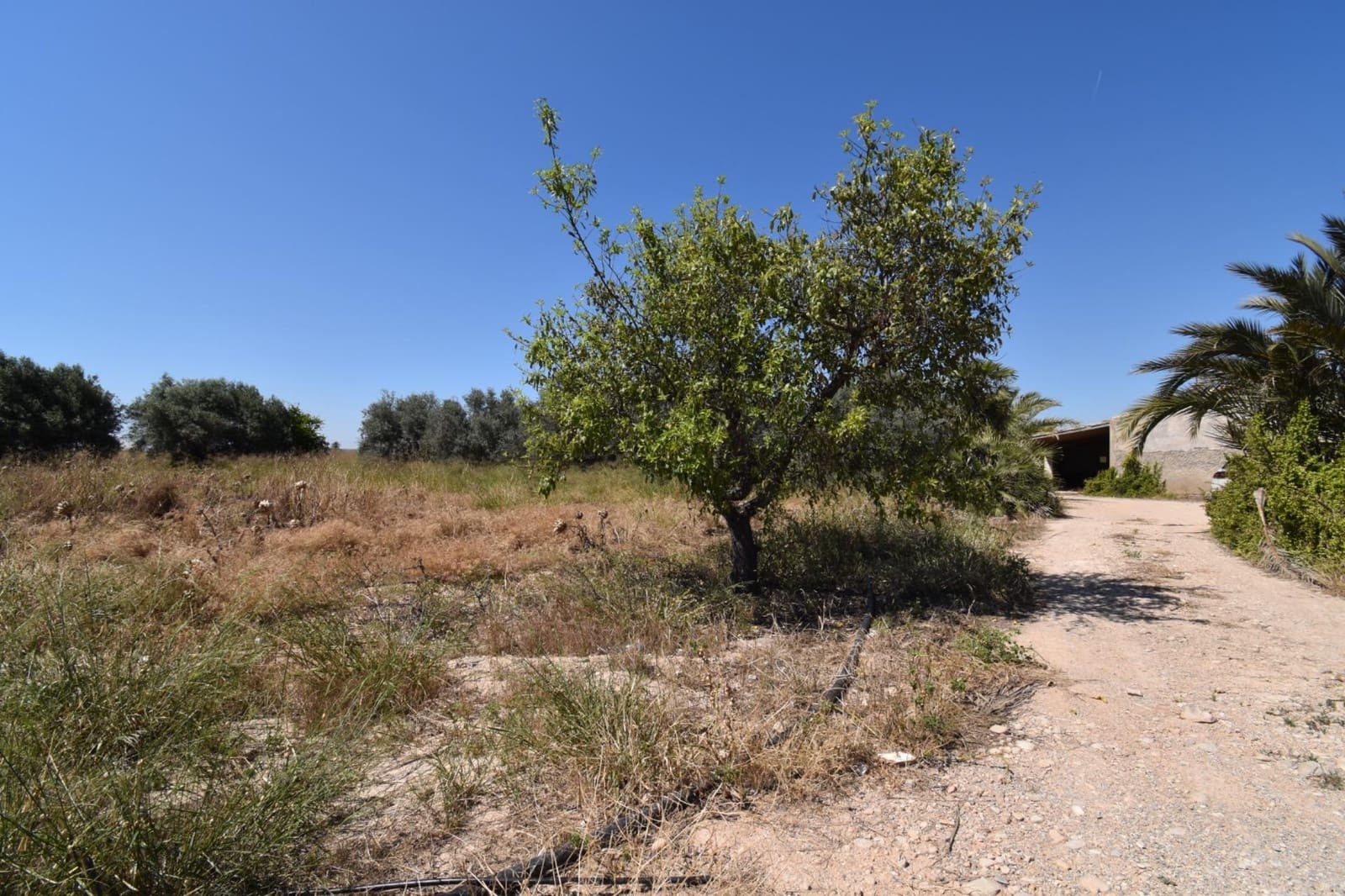 4 camera da letto Finca/Casa di Campagna in vendita in Las Bayas - 270.000 € (Rif: 9873723)
