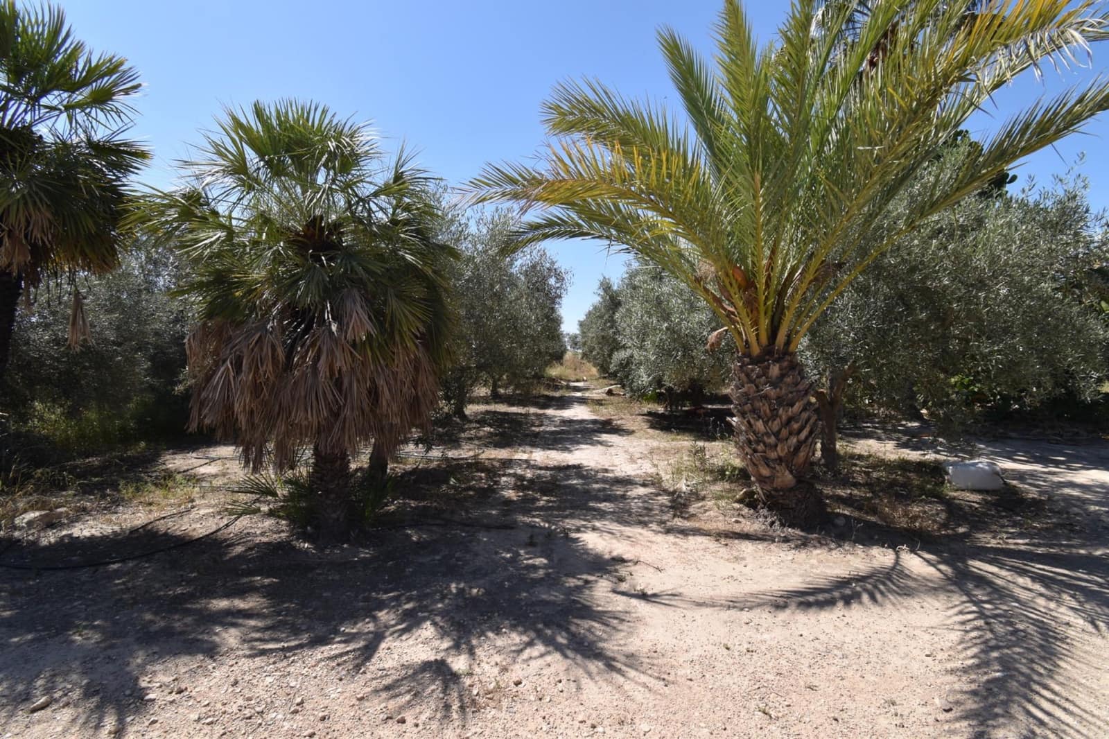 4 camera da letto Finca/Casa di Campagna in vendita in Las Bayas - 270.000 € (Rif: 9873723)