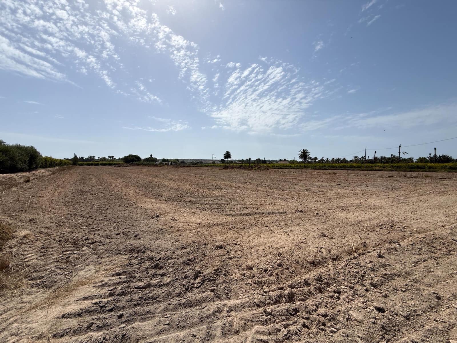 Grond te koop in Valverde - € 197.000 (Ref: 9959987)