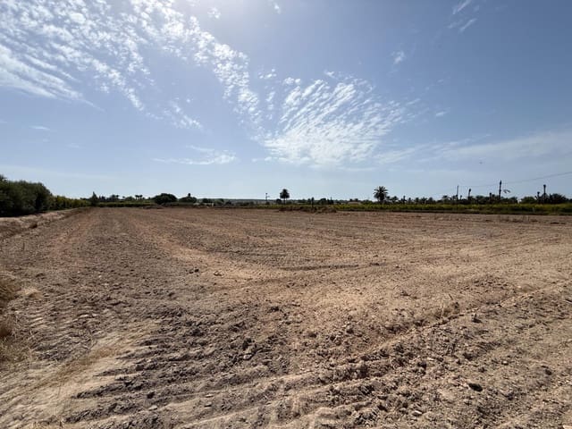 Mark till salu i Valverde, Elche / Elx - 197 000 € (Ref: 9959987)