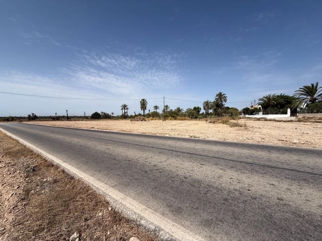Mark till salu i Valverde, Elche / Elx - 197 000 € (Ref: 9959987)