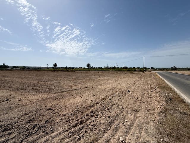 Mark till salu i Valverde, Elche / Elx - 197 000 € (Ref: 9959987)