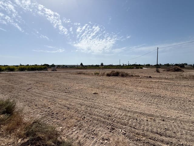 Mark till salu i Valverde, Elche / Elx - 197 000 € (Ref: 9959987)