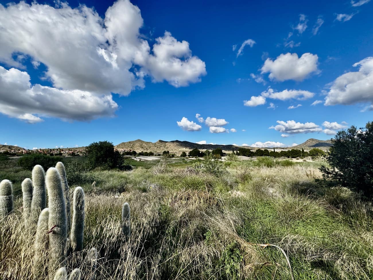 3 bedroom Villa for sale in Banos y Mendigo with pool - € 385,000 (Ref: 9398061)