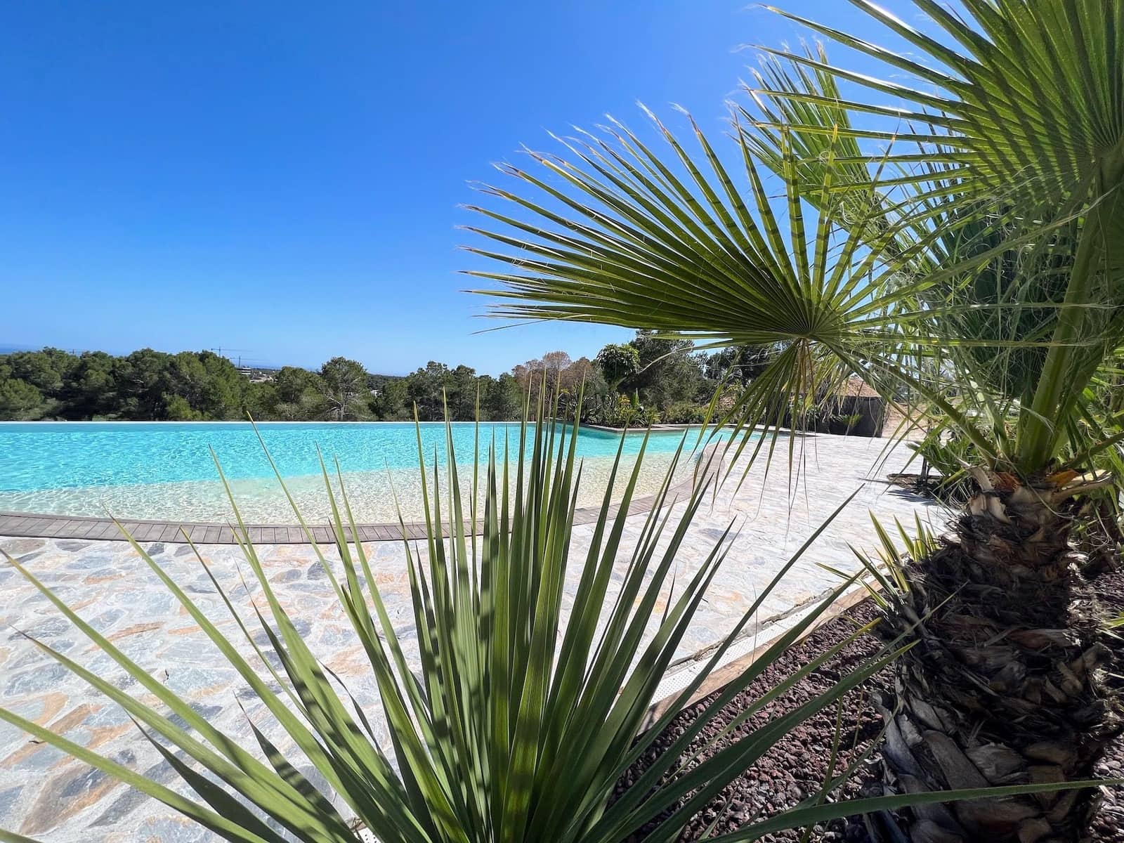 2 bedroom Apartment for sale in San Miguel de Salinas with pool garage - € 475,000 (Ref: 8441520)