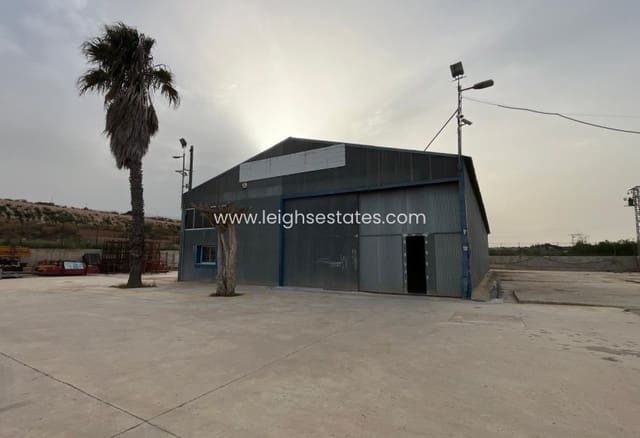 Commercieel te koop in Pilar de la Horadada - € 590.000 (Ref: 9772512)