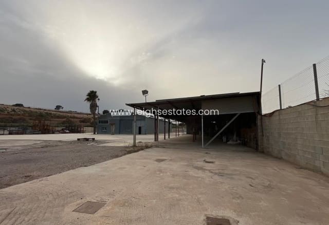 Commercieel te koop in Pilar de la Horadada - € 590.000 (Ref: 9772512)