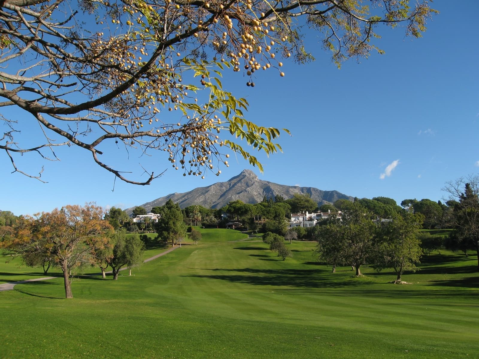 5 bedroom Villa for sale in Marbella with pool garage - € 10,950,000 (Ref: 9266766)