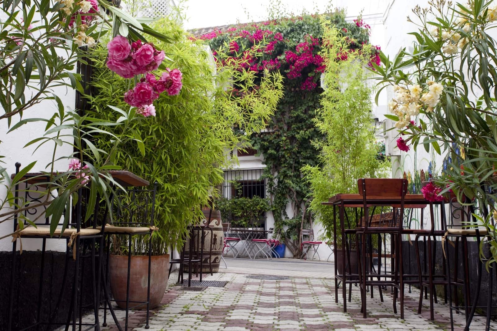 5 bedroom Villa for sale in Marbella with pool garage - € 10,950,000 (Ref: 9266766)