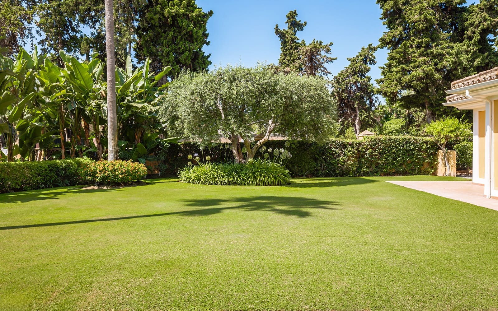 6 slaapkamer Villa te huur in Guadalmina met zwembad garage - € 8.000 (Ref: 9278177)