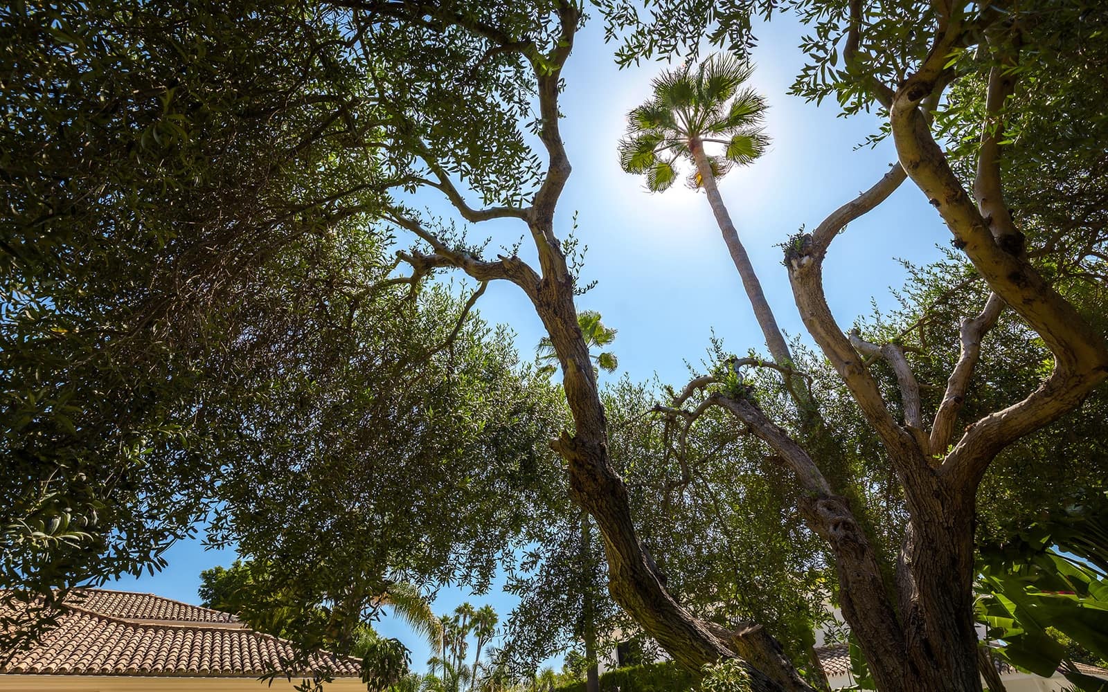 6 slaapkamer Villa te huur in Guadalmina met zwembad garage - € 8.000 (Ref: 9278177)