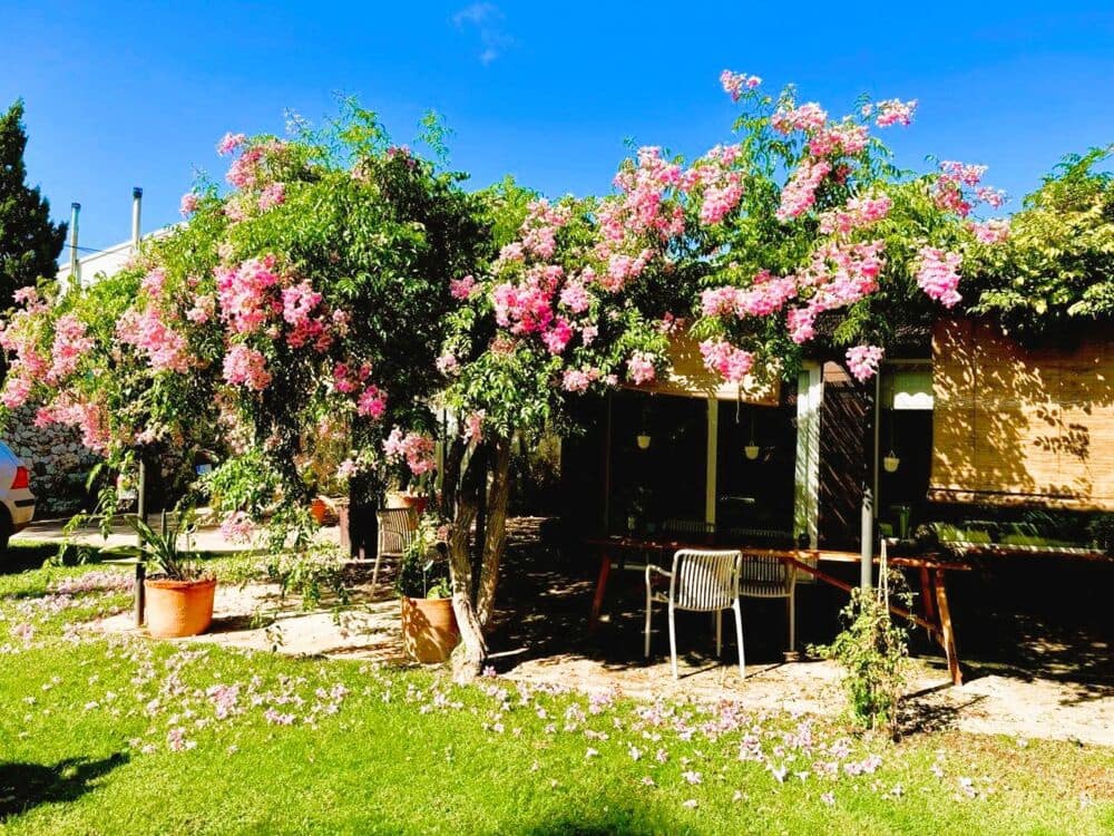 5 soveværelse Byhus til salg i Ciutadella de Menorca med swimmingpool - € 1.450.000 (Ref: 10111949)