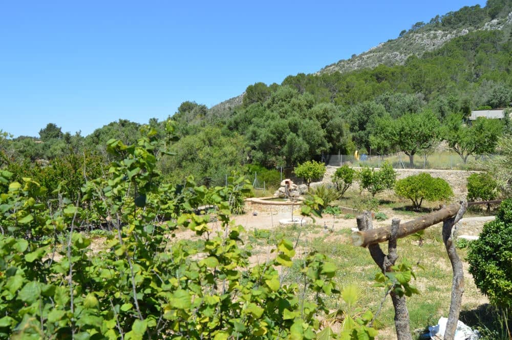 Finca/Casa Rural de 3 habitaciones en Llucmajor en venta con piscina - 680.000 € (Ref: 10112168)