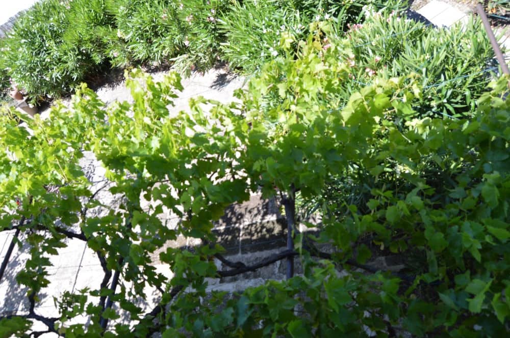Finca/Casa Rural de 3 habitaciones en Llucmajor en venta con piscina - 680.000 € (Ref: 10112168)
