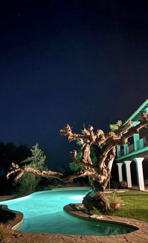 5 sypialnia Dom do wynajęcia w Santa Gertrudis de Fruitera z basenem - 10 000 € (Ref: 8931430)