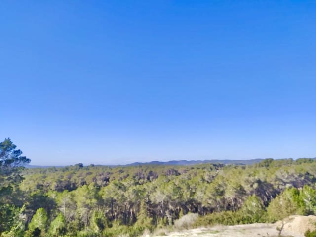 5 sypialnia Dom do wynajęcia w Santa Gertrudis de Fruitera, Santa Eulalia / Santa Eularia z basenem - 10 000 € (Ref: 8931430)