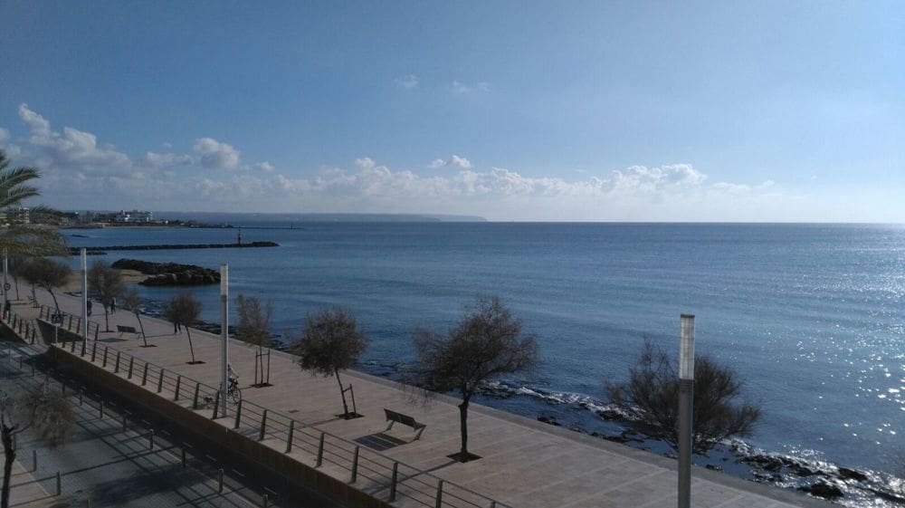 3 bedroom Flat for rent in Portixol - € 3,100 (Ref: 8933514)