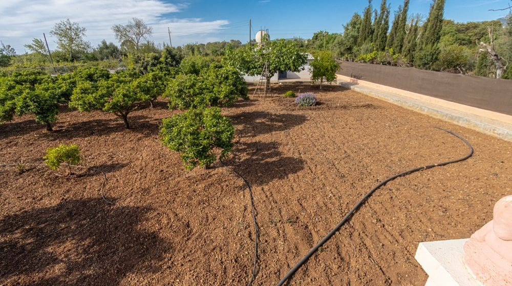 2 chambre Finca/Maison de Campagne à vendre à Son Sardina avec piscine - 895 000 € (Ref: 8942151)