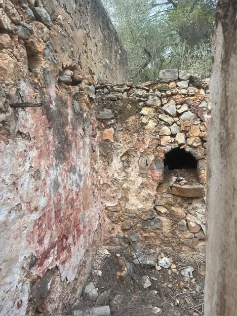 Teren niezagospodarowany na sprzedaż w San Jose / Sant Josep de Sa Talaia - 1 390 000 € (Ref: 9588426)