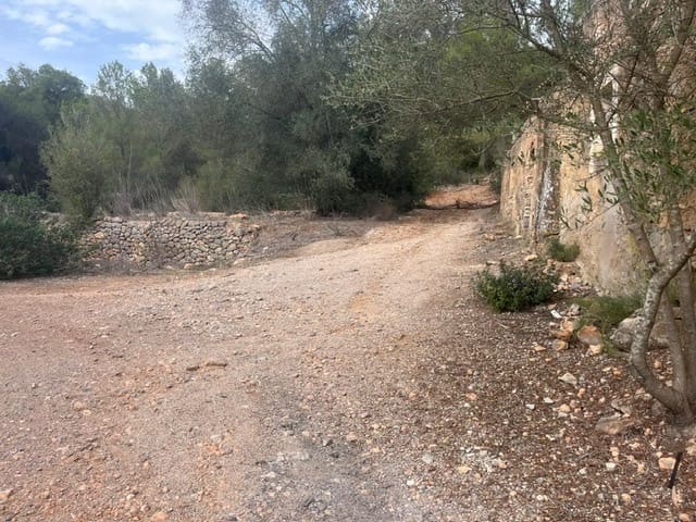 Teren niezagospodarowany na sprzedaż w San Jose / Sant Josep de Sa Talaia - 1 390 000 € (Ref: 9588426)